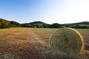 Mariages & Évènements Toscane
